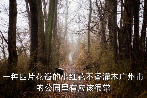 廣州路邊小紅花，現(xiàn)在廣州的道路兩邊開的是什么花