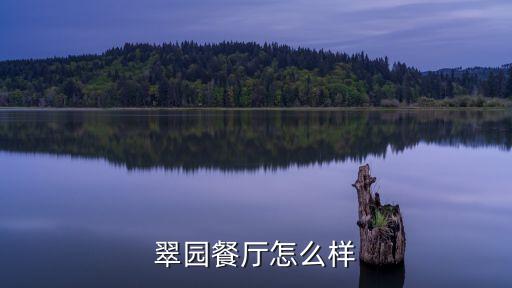 翠園餐廳怎么樣
