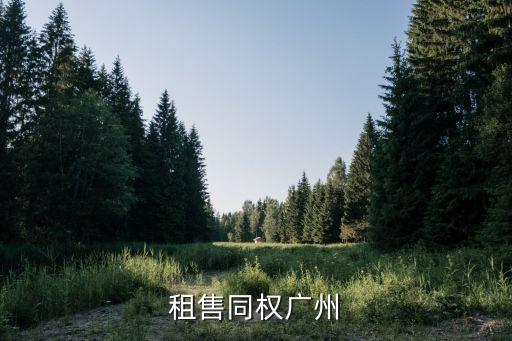 廣州出臺租售同權解讀，什么是租售同權是什么意思啊