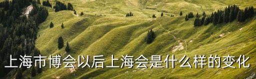 上海市金博會后還有什么事件，上海市博會以后上海會是什么樣的變化