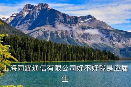 上海市同耀通訊技術(shù)有限公司，漕河涇有哪些做通信科技的公司