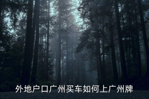 如何在廣州上車牌號碼，外地戶口廣州買車如何上廣州牌