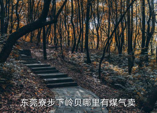 東莞寮步嶺廈煤氣，東莞寮步下嶺貝哪里有煤氣賣