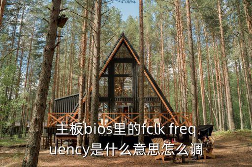 主板bios里的fclk frequency是什么意思怎么調