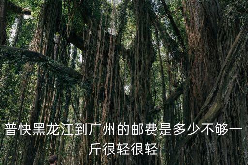 普快黑龍江到廣州的郵費是多少不夠一斤很輕很輕
