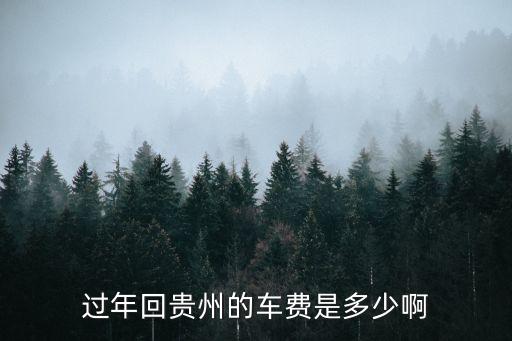 過年回貴州的車費(fèi)是多少啊