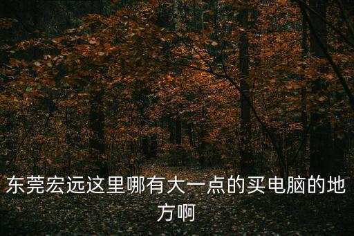 東莞宏遠(yuǎn)這里哪有大一點(diǎn)的買電腦的地方啊