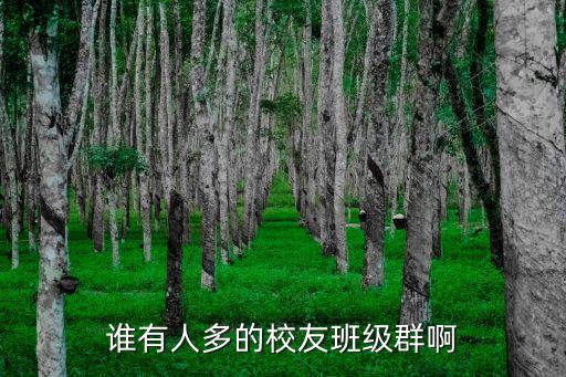 上海市曹楊中學(xué)84屆校友群，誰(shuí)有人多的校友班級(jí)群啊