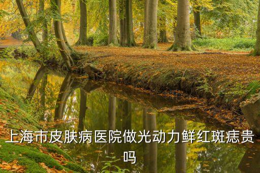上海市皮膚病醫院斑，臉上長了好多斑上海最好的祛斑醫院哪家啊