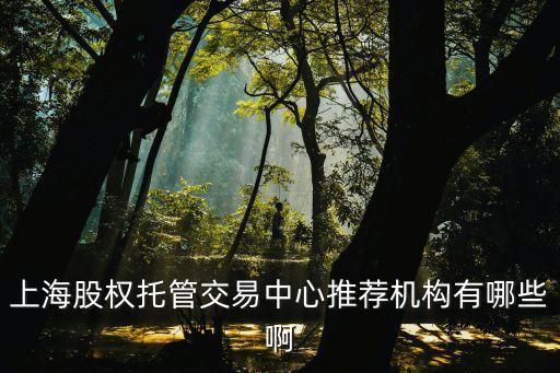 上海市商委離岸轉手推薦名單，上海股權托管交易中心推薦機構有哪些啊