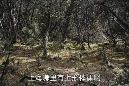 上海市形體禮儀培訓(xùn)班，我想請(qǐng)問一下上海有沒有為兒童提供形體培訓(xùn)的機(jī)構(gòu)