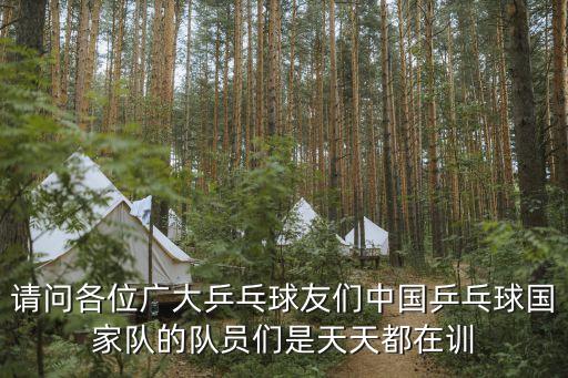 請(qǐng)問各位廣大乒乓球友們中國乒乓球國家隊(duì)的隊(duì)員們是天天都在訓(xùn)