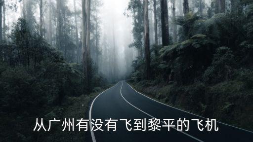 從廣州有沒(méi)有飛到黎平的飛機(jī)