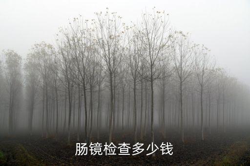 廣州中山一院腸鏡價格，中山大學第一醫(yī)院做胃鏡及腸鏡收費是多少