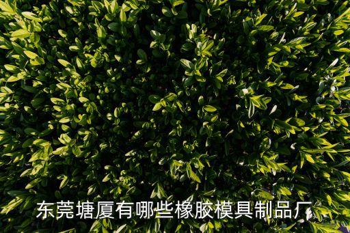 東莞橡塑成型制品，東莞橡膠制品那一家比較有品質保證