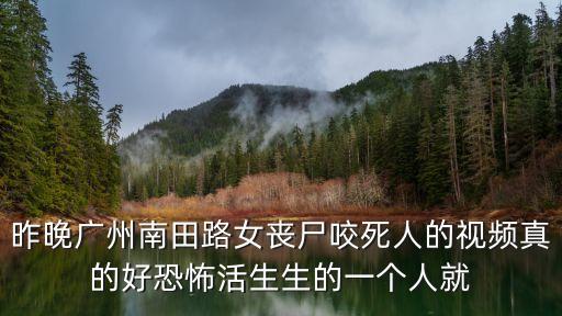 昨晚廣州南田路女喪尸咬死人的視頻真的好恐怖活生生的一個人就