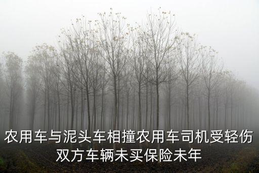 農(nóng)用車與泥頭車相撞農(nóng)用車司機受輕傷雙方車輛未買保險未年