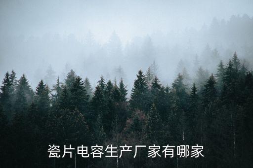 瓷片電容生產廠家有哪家