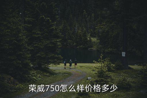 榮威750怎么樣價(jià)格多少