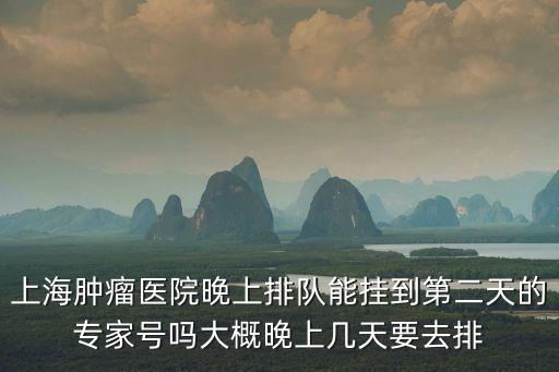 上海腫瘤醫(yī)院晚上排隊(duì)能掛到第二天的專家號(hào)嗎大概晚上幾天要去排
