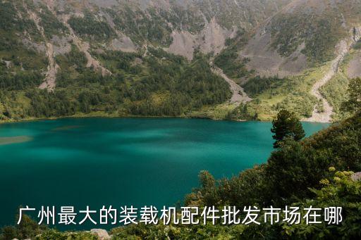 廣州裝載機(jī)配件廠家，廣州市挖掘機(jī) 推土機(jī) 裝載機(jī) 破碎器 銷售液壓油缸修理包 密封件 等