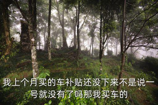 我上個月買的車補(bǔ)貼還沒下來不是說一號就沒有了嗎那我買車的