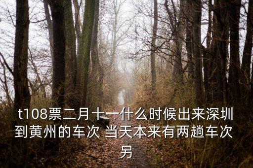 t108票二月十一什么時候出來深圳到黃州的車次 當天本來有兩趟車次 另