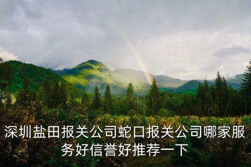 深圳鹽田報關公司蛇口報關公司哪家服務好信譽好推薦一下