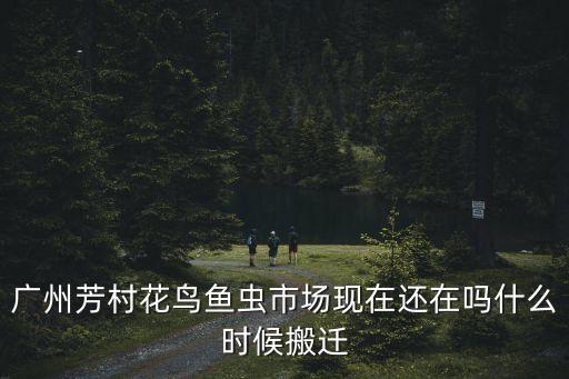 廣州花鳥(niǎo)魚(yú)蟲(chóng)市場(chǎng)搬遷，槐安路與富強(qiáng)大街交叉口的花鳥(niǎo)魚(yú)蟲(chóng)市場(chǎng)搬到哪里去了