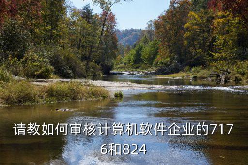 上海市如何復審計算機軟件，請教如何審核計算機軟件企業的7176和824