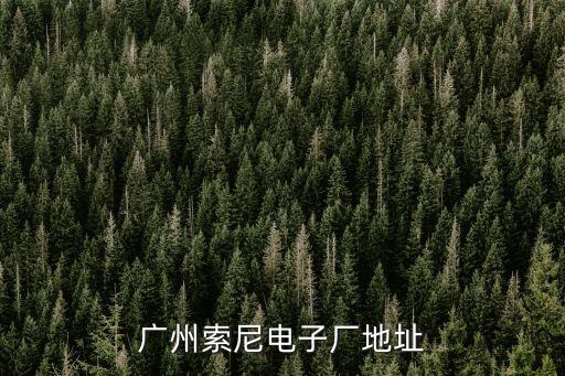 廣州高新區(qū)的地址電話號(hào)碼是多少，廣州索尼電子廠地址