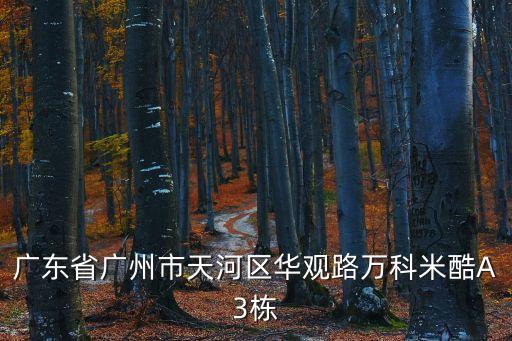 廣州智慧城萬科，廣東省廣州市天河區(qū)華觀路萬科米酷A3棟
