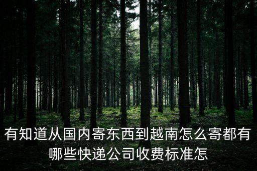 有知道從國內(nèi)寄東西到越南怎么寄都有哪些快遞公司收費(fèi)標(biāo)準(zhǔn)怎