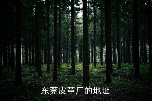 東莞皮革廠的地址
