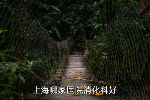 上海市仁濟醫院消化科好嗎，仁濟醫院消化內科東部好還是西部好