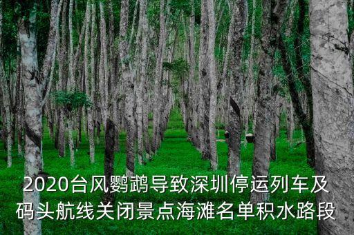 2020臺(tái)風(fēng)鸚鵡導(dǎo)致深圳停運(yùn)列車及碼頭航線關(guān)閉景點(diǎn)海灘名單積水路段