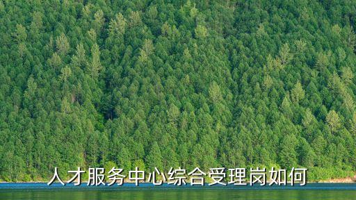 人才服務中心綜合受理崗如何