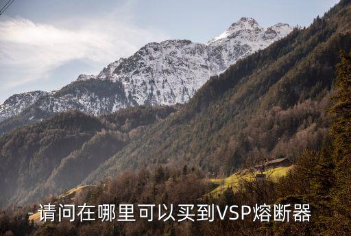 深圳直流熔斷器正品，請(qǐng)問(wèn)在哪里可以買到VSP熔斷器