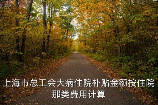 上海市大病每年補助，上海市大病醫(yī)療救助基金是怎么回事