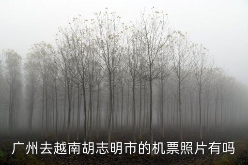 廣州越南機(jī)票嗎，廣州飛往越南機(jī)票價(jià)多少