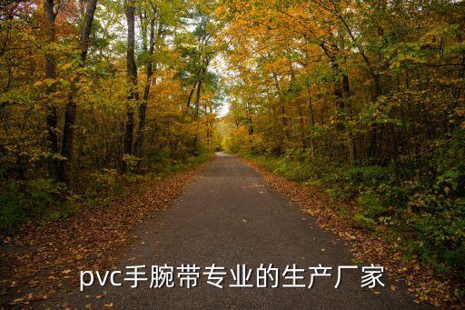pvc手腕帶專業的生產廠家