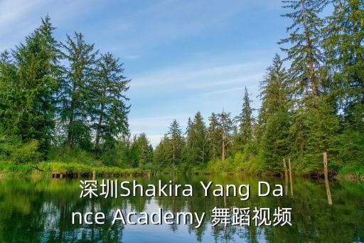 深圳兒童拉丁舞視頻，深圳Shakira Yang Dance Academy 舞蹈視頻