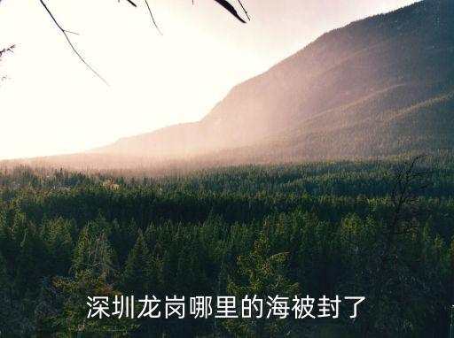 深圳2020東涌是否封，2020年1月27號從廣西到廣東深圳的路有沒有封閉