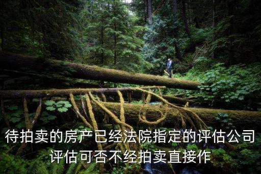 廣州法院指定評估公司，廣州哪有古懂收藏品的鑒定評估部門