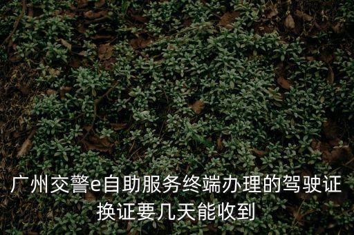 廣州交警e自助服務(wù)終端辦理的駕駛證換證要幾天能收到