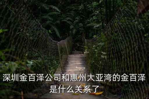 深圳金百澤公司和惠州大亞灣的金百澤是什么關系了