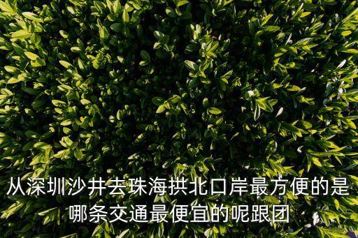 深圳到拱北哪里坐車便宜，從深圳沙井去珠海拱北口岸最方便的是哪條交通最便宜的呢跟團
