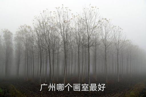 廣州各個畫室，廣州都有哪些畫室