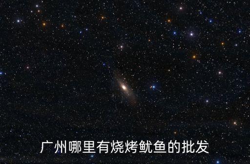 廣州賣魷魚，請問廣州哪有魷魚須賣