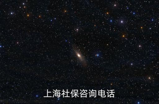 上海社保咨詢電話